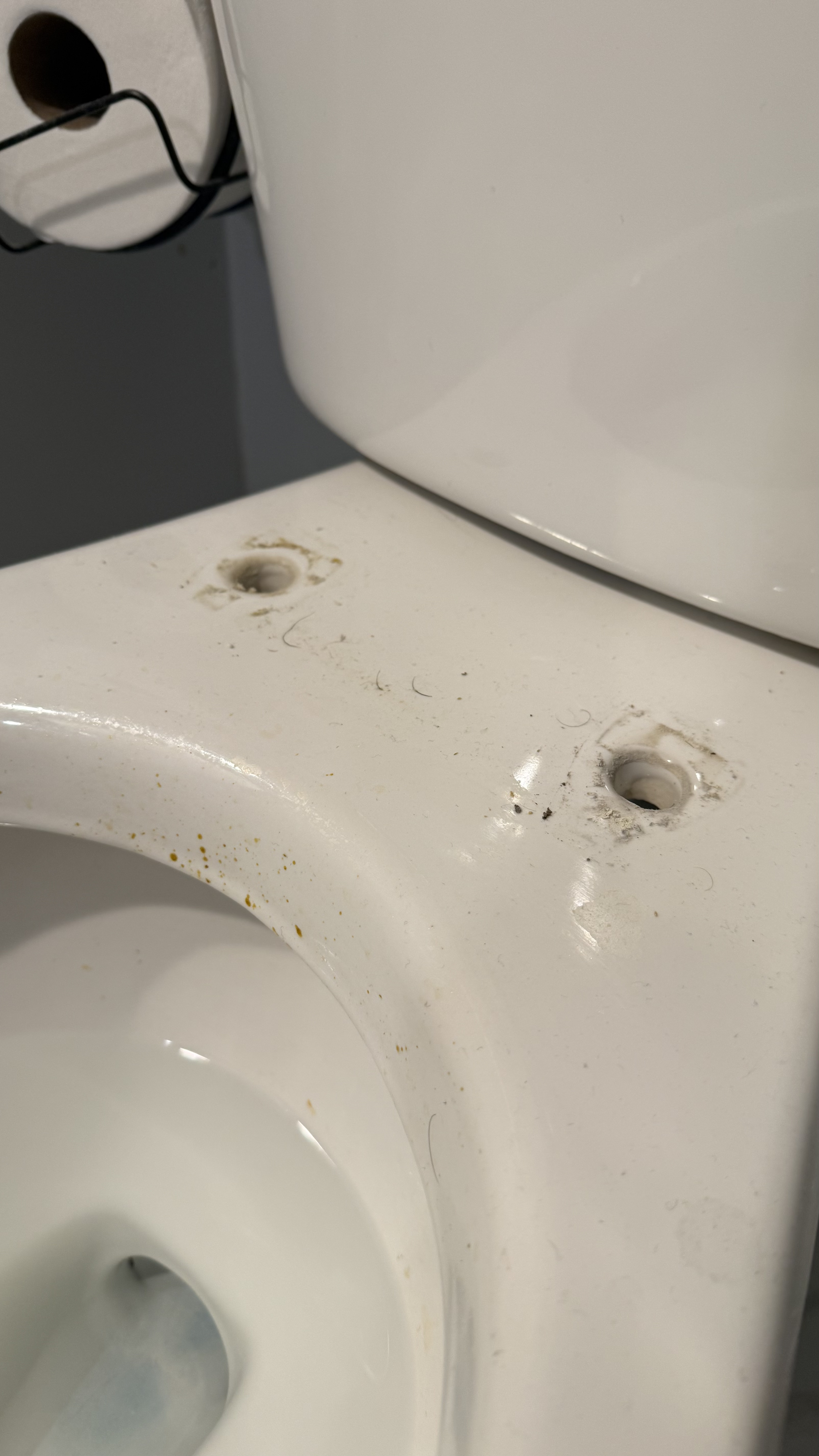 Toilet before cleaning