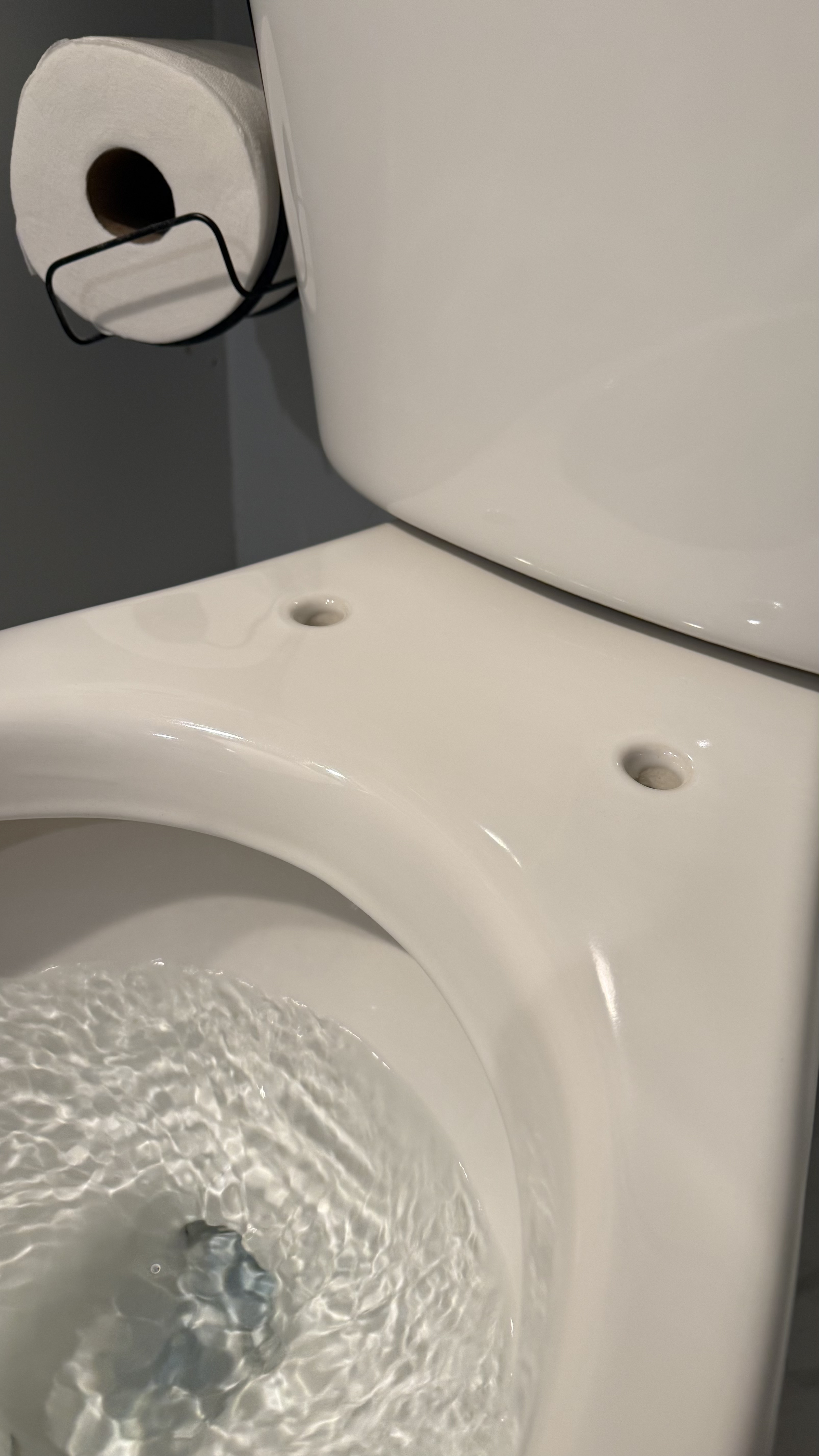 Toilet after cleaning
